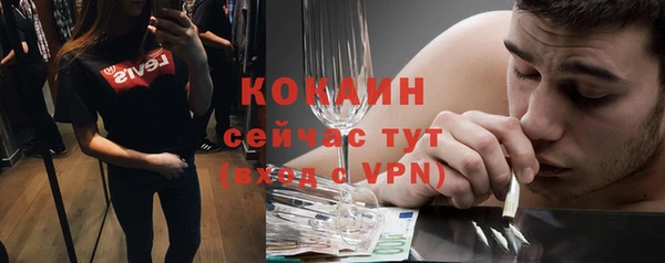 дживик Майский