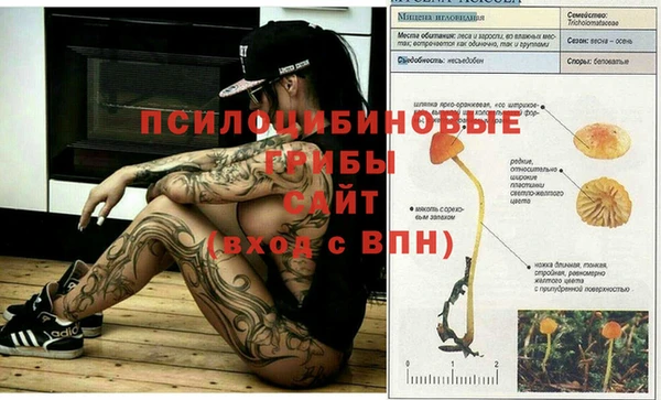 мет Мегион
